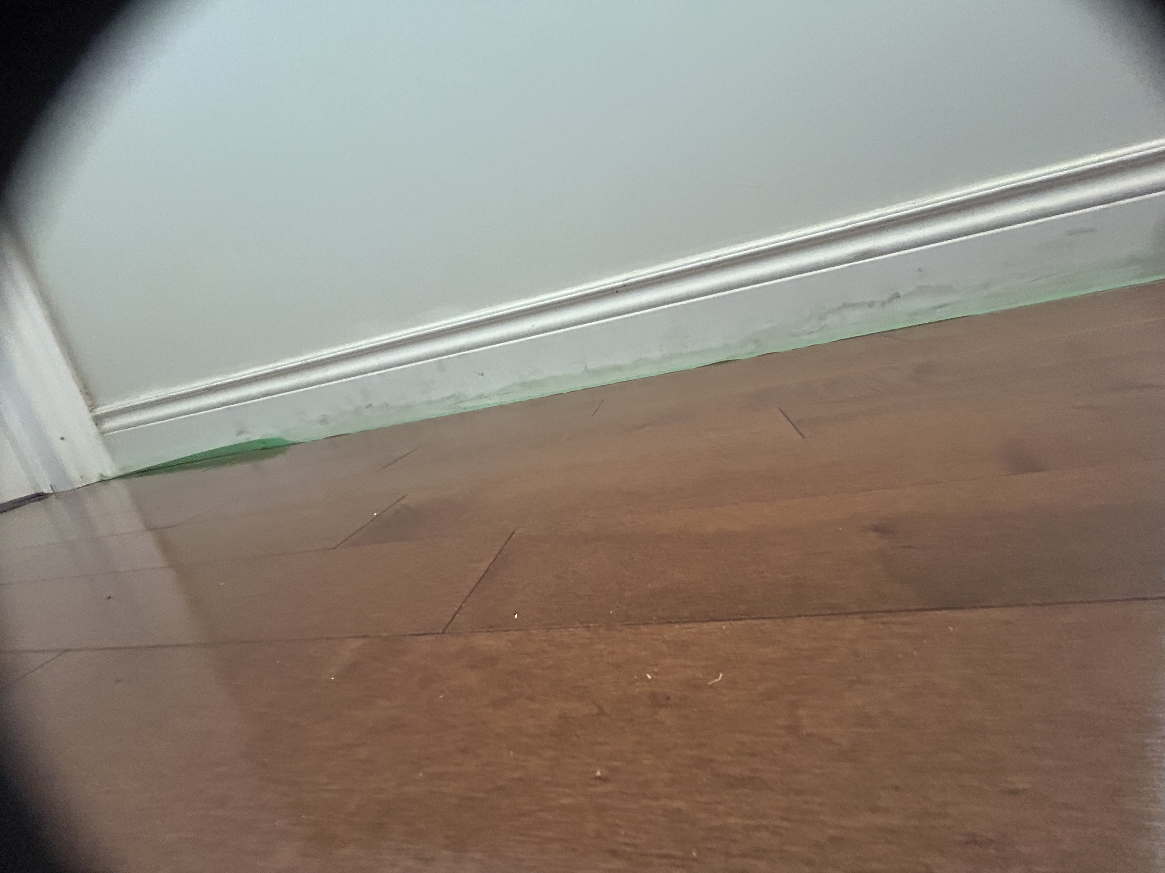 Baseboard before painting